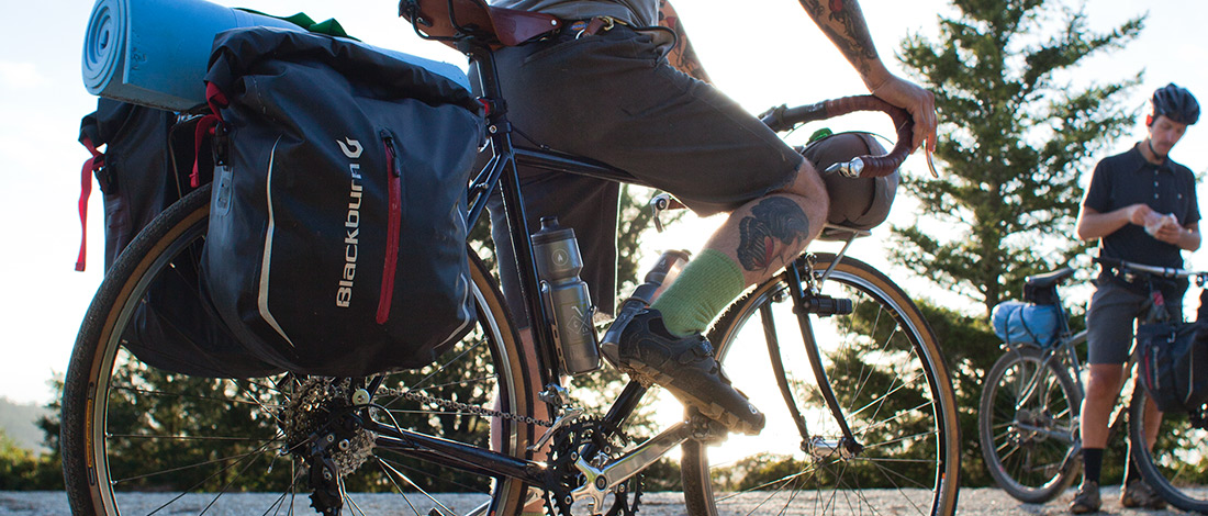 brand[ Blackburn ] image