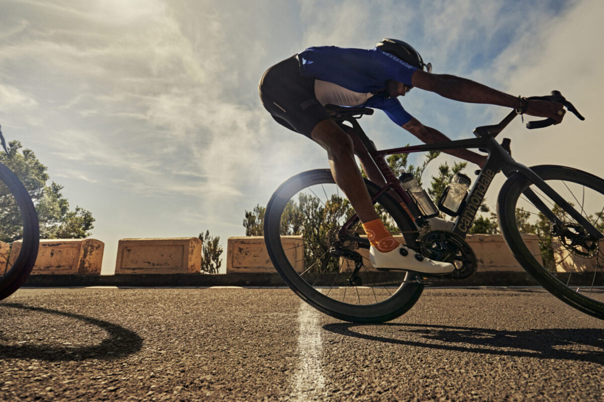 brand[ Cannondale ] image